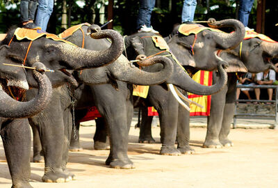 Tayland Bangkok & Phuket & Pattaya - Türkmenistan HY