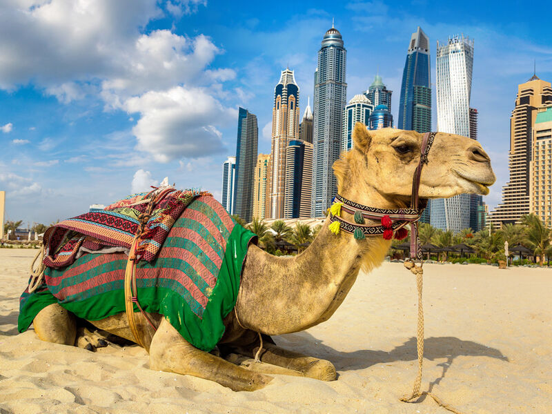 VİZE DAHİL DUBAİ TURU Pegasus Havayolları ile 4 gece