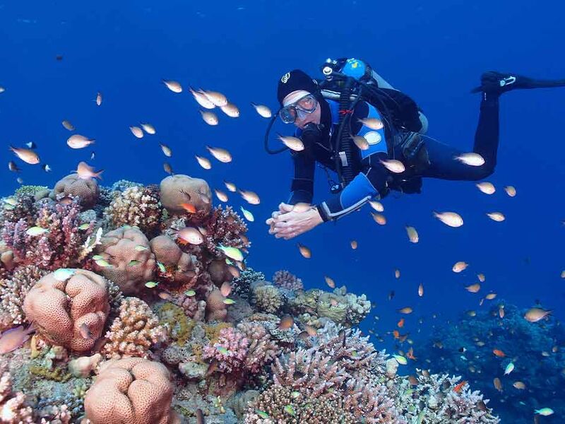 MAXI HER ŞEY DAHİL  SHARM EL SHEIKH TURU Pegasus Havayolları ile 4 gece