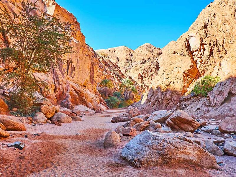 MAXI HER ŞEY DAHİL  SHARM EL SHEIKH TURU Pegasus Havayolları ile 4 gece