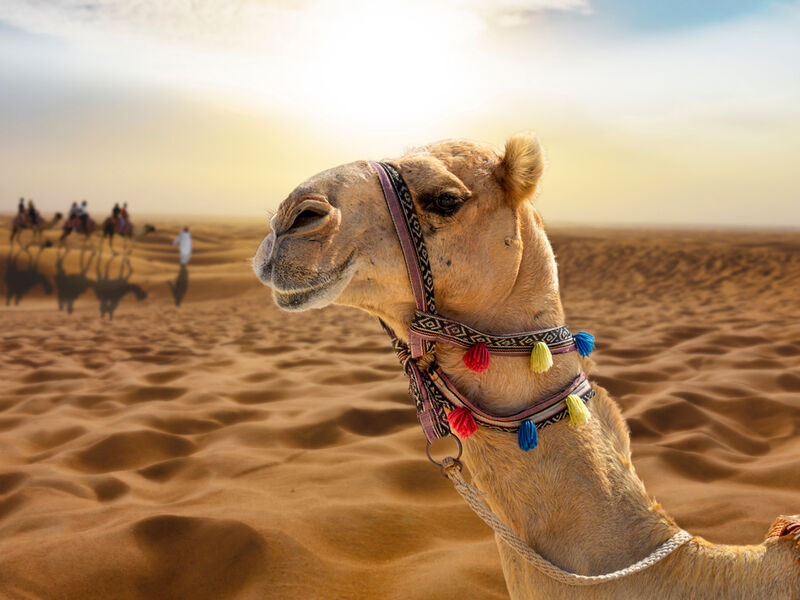 YILBAŞI ÖZEL DUBAİ TURU Türk Hava Yolları ile 5 gece