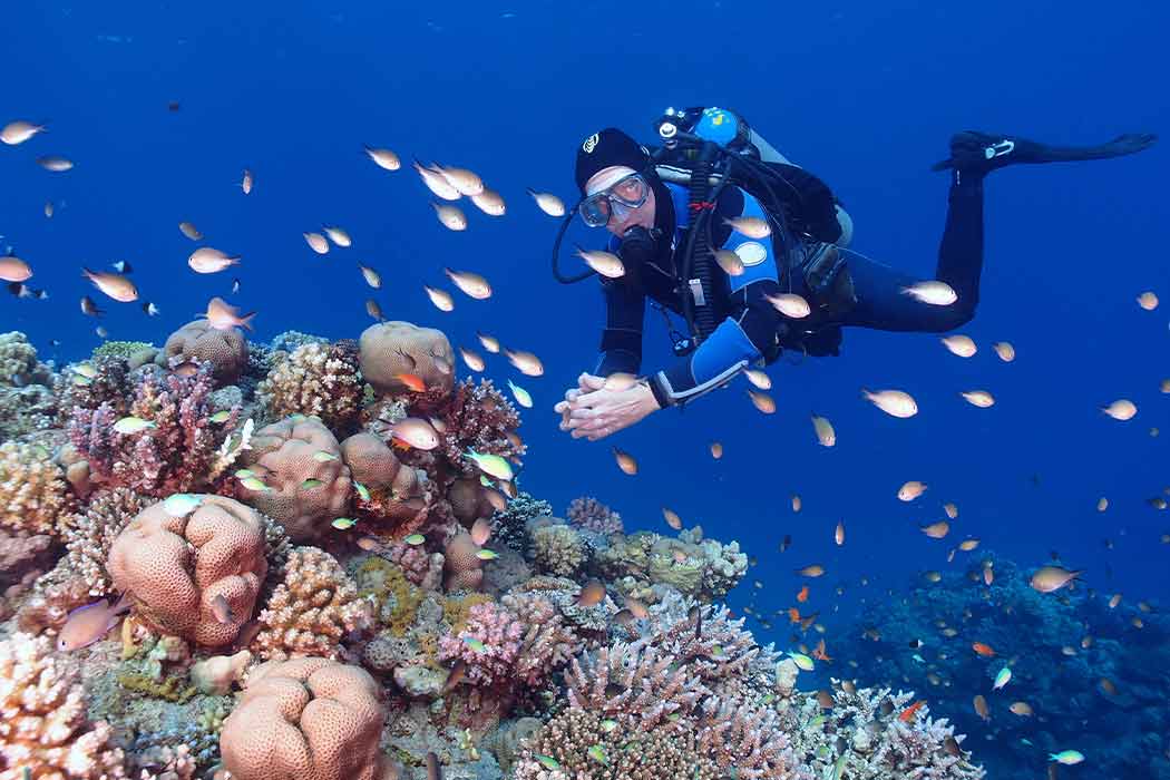 İZMİR'DEN MISIR & NİL NEHRİ FENOMENLERİ VE SHARM TURU SunExpress Havayolları ile 7 gece