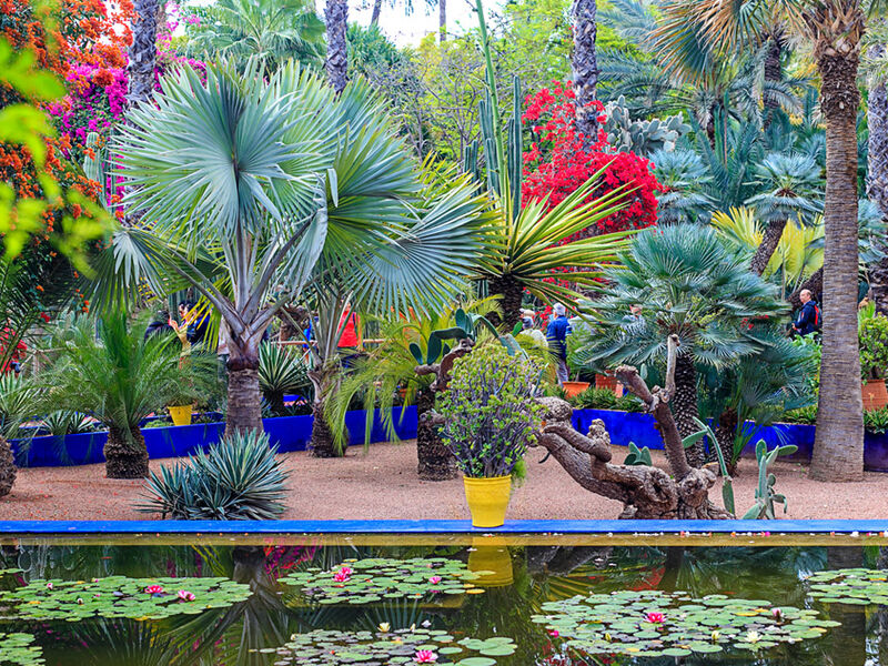 Büyük Sahra Çölü & Masallar Diyarı Fas Turu Türk Havayolları ile 7 Gece (CMN-RAK) FL001 