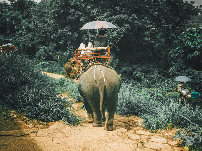 Görkemli Tayland İncileri Air Arabia Hava Yolları ile Phuket – Pattaya – Bangkok Turu 2026 Kış Dönemi ATS001