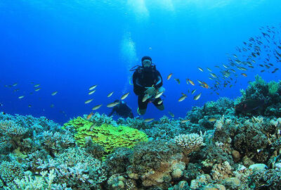 İzmir Kalkışlı Mısır & Nil Nehri Fenomenleri Turu SunExpress Havayolları ile 7 Gece (SSH-SSH) IS001