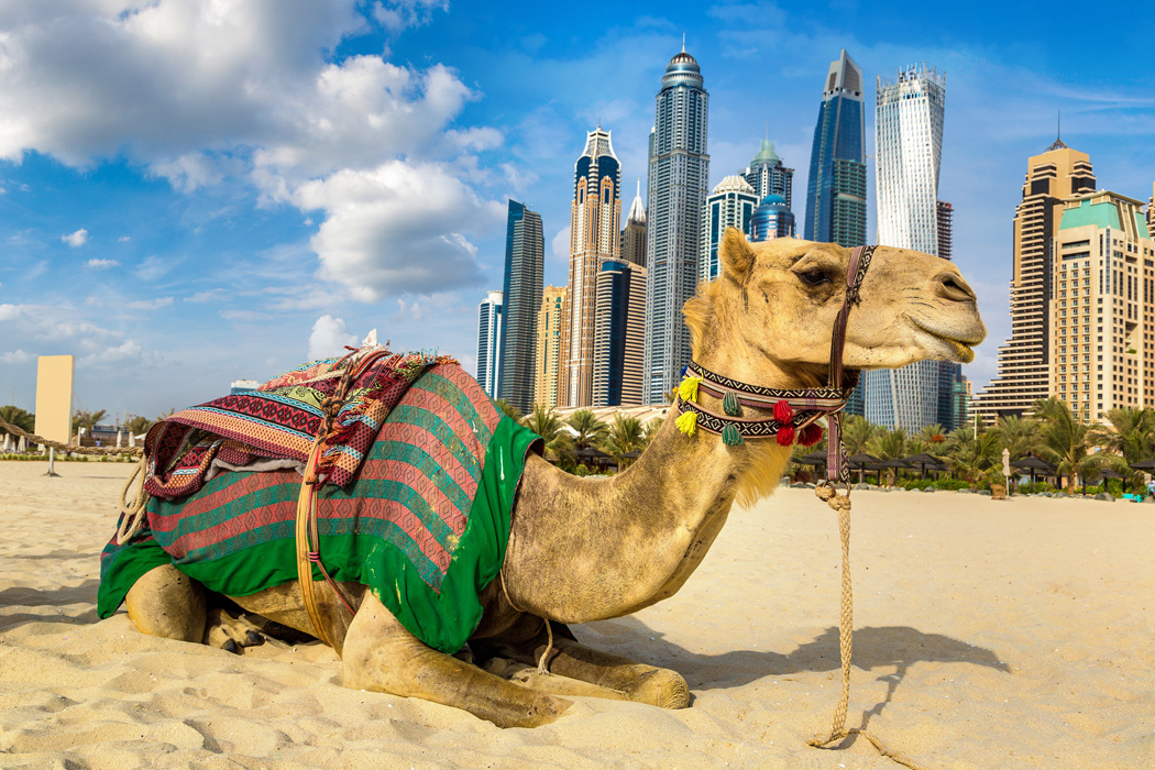 ANKARA'DAN DUBAİ TURU Ajet ile 3 gece