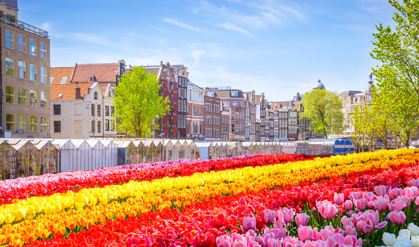 5 ÜLKE ILE BENELÜX & PARİS & KÖLN (PROMO) TURU Pegasus Havayolları ile 7 gece