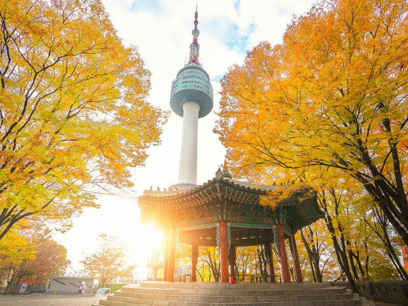 Japonya Turu 8 Gece – 10 Gün Miat Hava Yolları ile EJ001